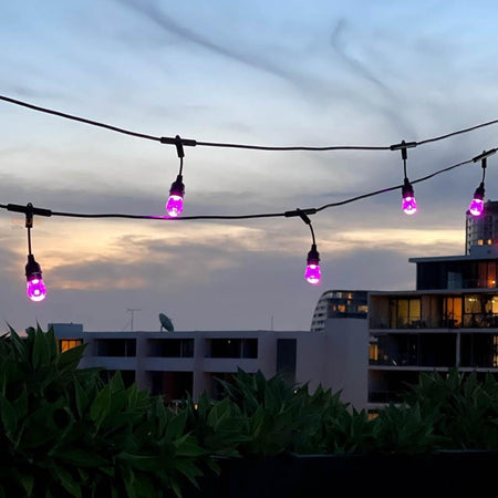15m Smart Festoon String Lights with 15 LED Bulbs Liquidleds, Festoon String, 15m-smart-festoon-string-lights-with-15-led-bulbs