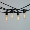 20m Black Festoon String Lights with 20 Bulb 240V Liquidleds, Festoon String, 20m-black-festoon-string-lights-with-20-bulb-240v