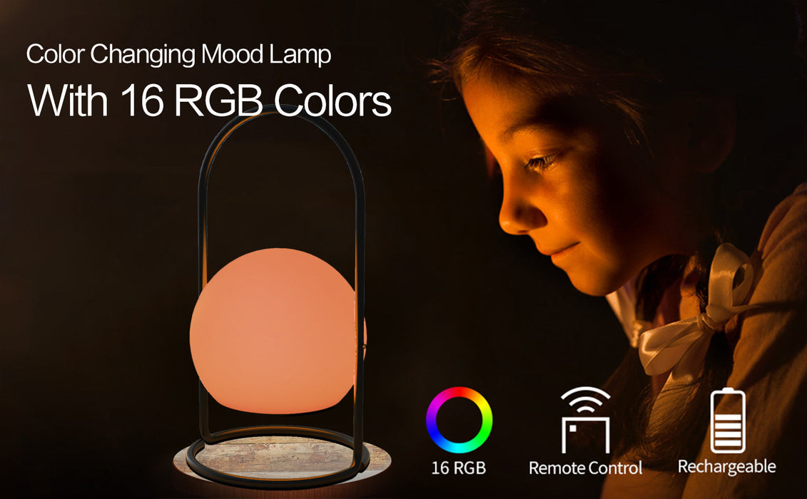 Portable LED ball Decorative Light, AC Charging, 16 RGB Color Changing 26CM Dropli, Decorative Light, a0529034