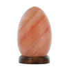 Himalayan Salt Lamp Carved Shape Natural Pink Crystal Rock Light Decor-Himalayan products-The Himalayan Salt Collective