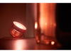 Philips Hue Iris Table Lamp - Copper Special Edition-TABLE LAMPS-Philips Hue