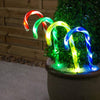 Solar Power Set of 4 Small Candy Cane - 2 Colour Options-Christmas Path Light-Lexi Lighting