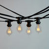 10M Festoon String Lights at 50 cm intervals with 20 LED Bulbs Liquidleds, Festoon String, 10m-festoon-string-lights-at-50-cm-intervals-with-20-led-bulbs