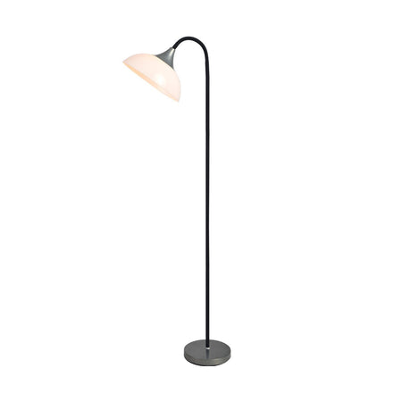 Alberta Floor Lamp - Black - LL-27-0123B-Floor Lamps-Lexi Lighting