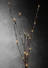 LED Light Bunch Stem - Warm White BATTERY fairy lights - 50cm high 20 bulbs/petals Dropli, Occasions > Lights, led-light-bunch-stem-warm-white-battery-fairy-lights-50cm-high-20-bulbs-petals