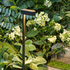 Matt Black 24V LED Garden Path Spike-Garden-Green Earth Lighting Australia