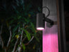 Philips Hue Lily Outdoor Spotlight - Starter Kit-Hue Outdoor-Philips Hue