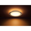 Philips Hue Muscari Ceiling Light--Philips Hue