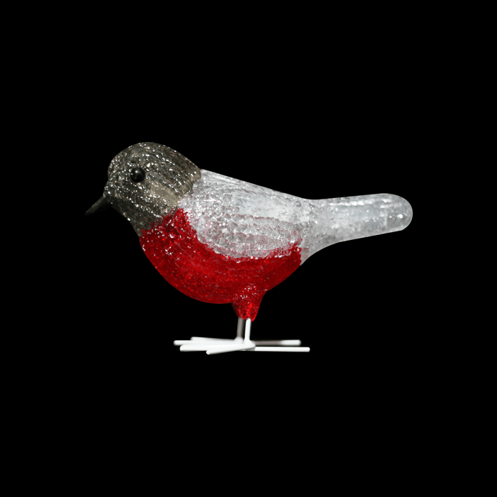 Acrylic Baby Bird (5pcs/set)-Christmas Figure-Lexi Lighting